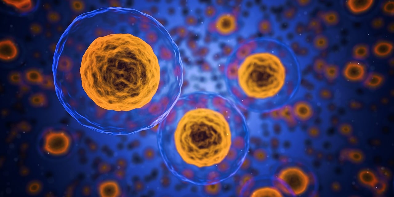 autoimmunerkrankungen sind erkrankungen, bei denen das immunsystem irrtümlicherweise gesunde zellen angreift. erfahren sie mehr über die symptome, diagnosen und behandlungsmöglichkeiten von autoimmunerkrankungen.