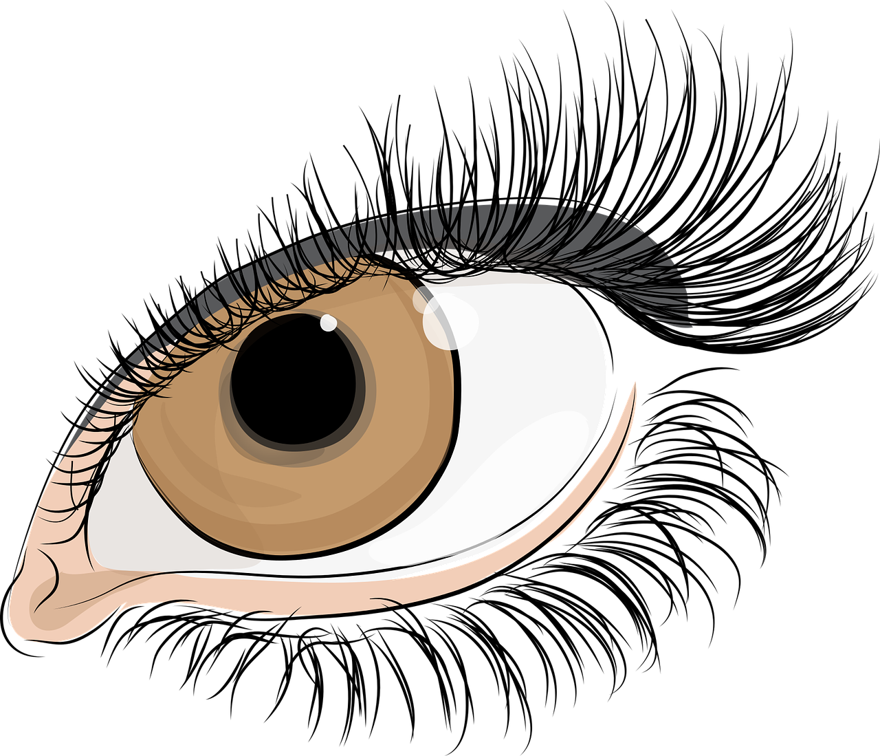 entdecken sie die bedeutung der pupillengröße in der augenheilkunde. erfahren sie, wie sie auf verschiedene lichtverhältnisse und emotionale zustände reagiert und was sie über die gesundheit aussagt.