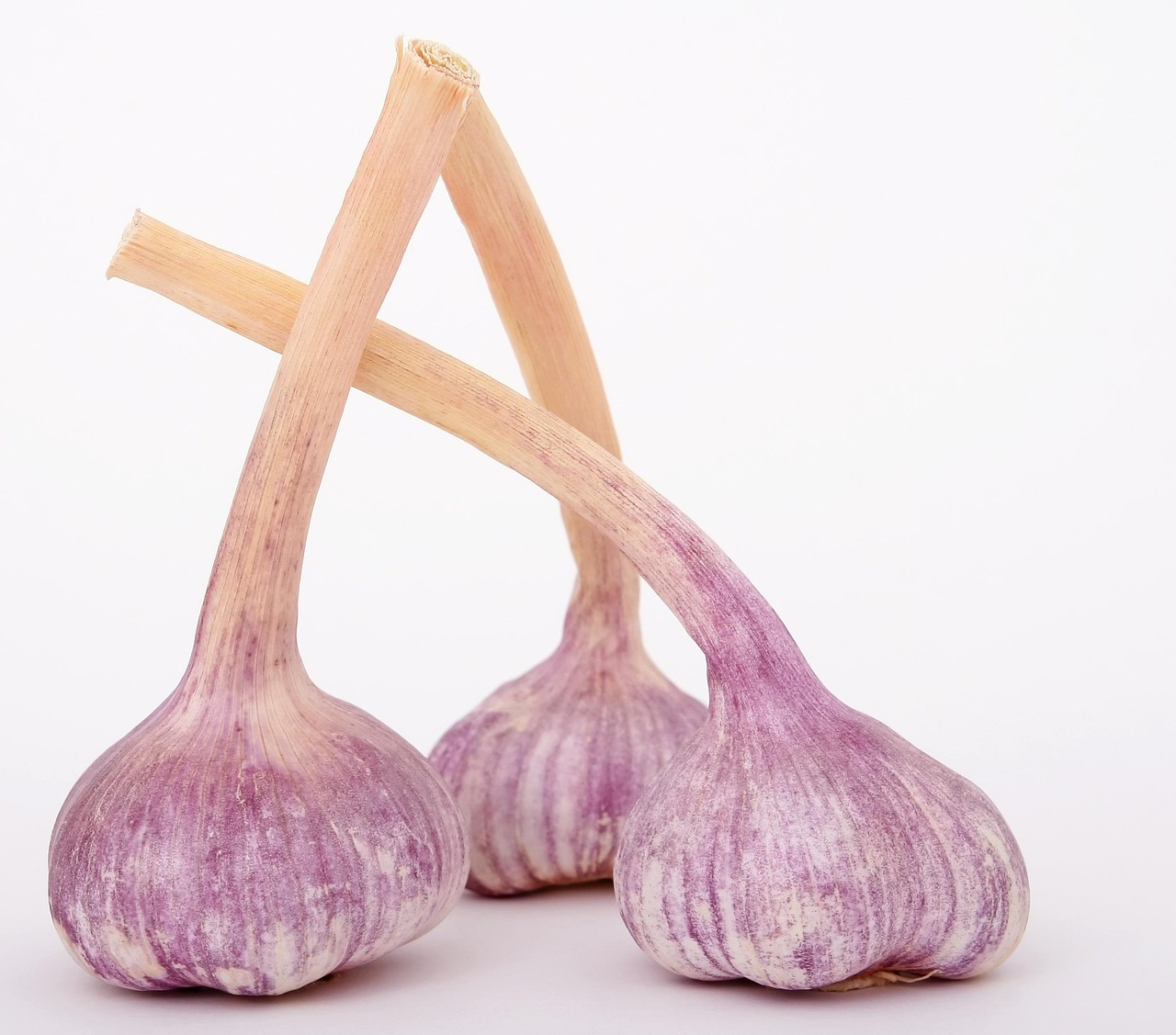 entdecken sie gesunde kochrezepte und tipps für eine ausgewogene ernährung. mit unseren leckeren und einfachen gerichten bringen sie mehr gesundheit und genuss in ihre küche.